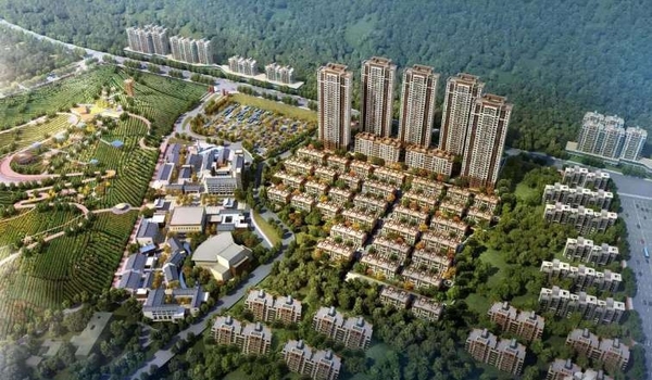 中骏云景府