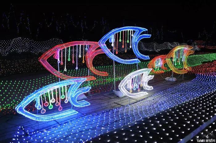 百万级梦幻海洋灯光秀即将登陆石狮